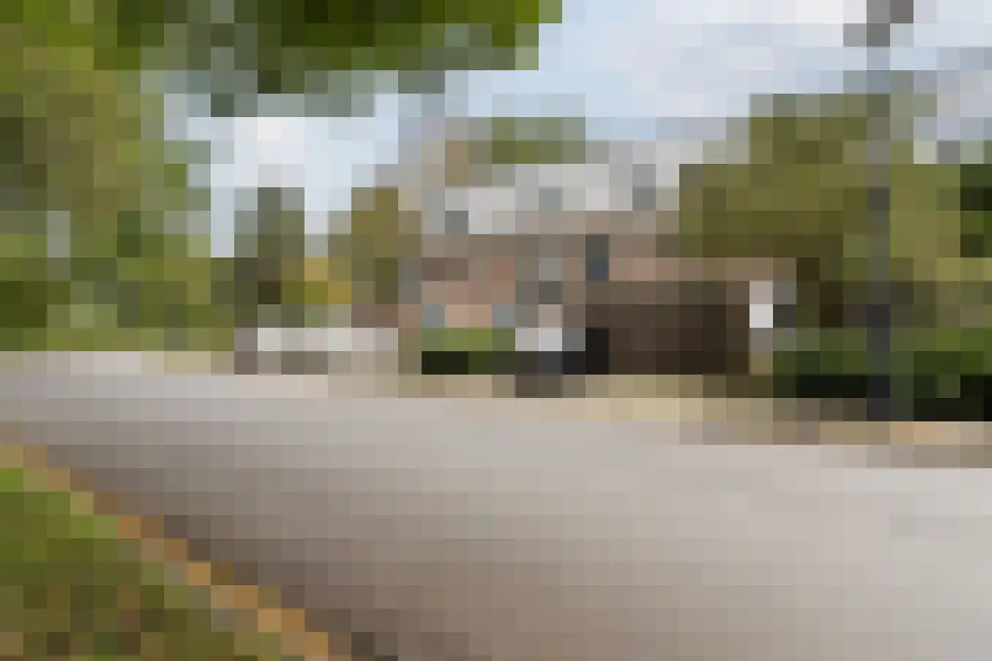 Boogschutter 120 Hoorn thumbnail 6