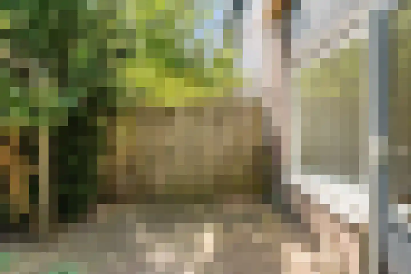 Boogschutter 121 Hoorn thumbnail 26