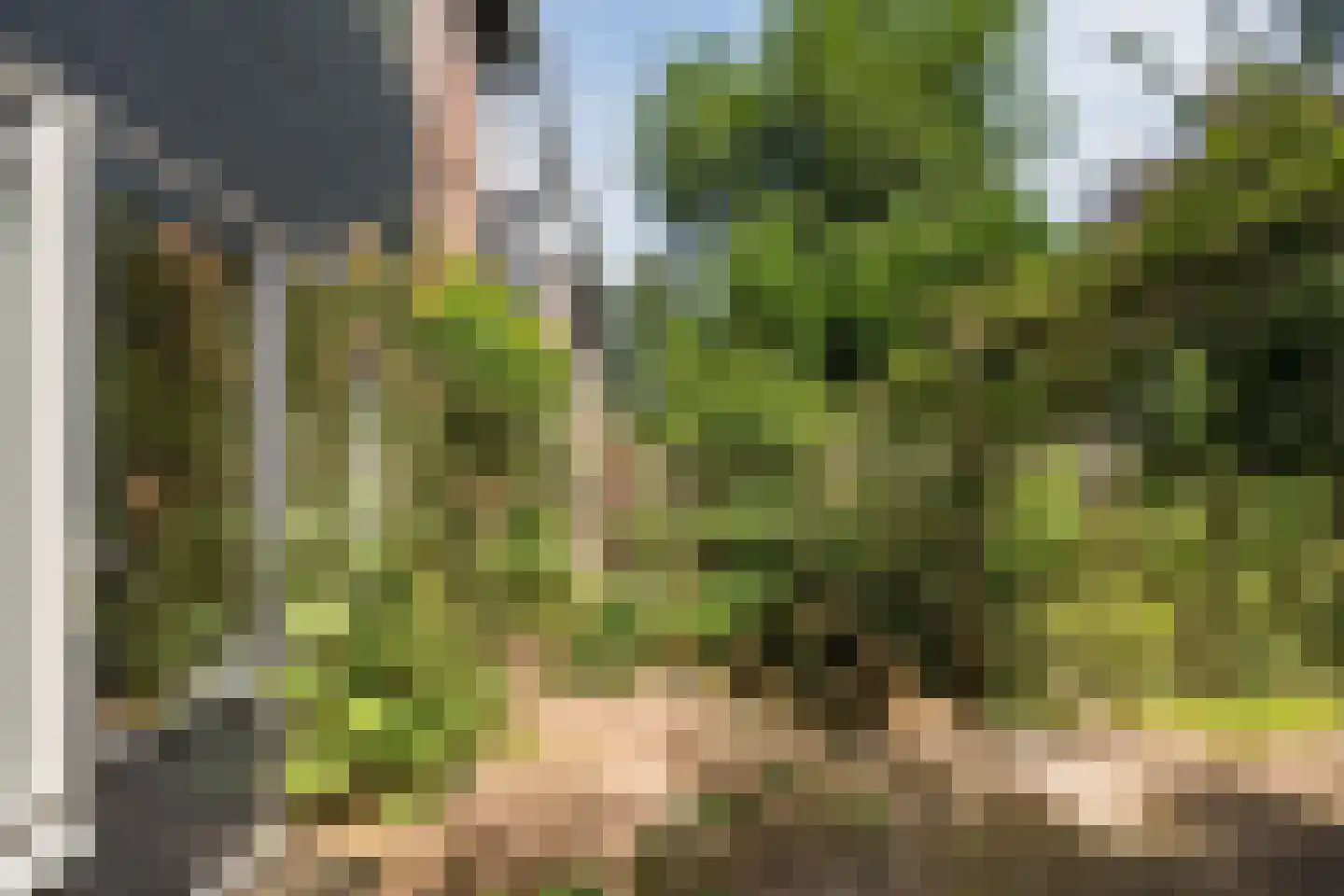 Boogschutter 121 Hoorn thumbnail 27