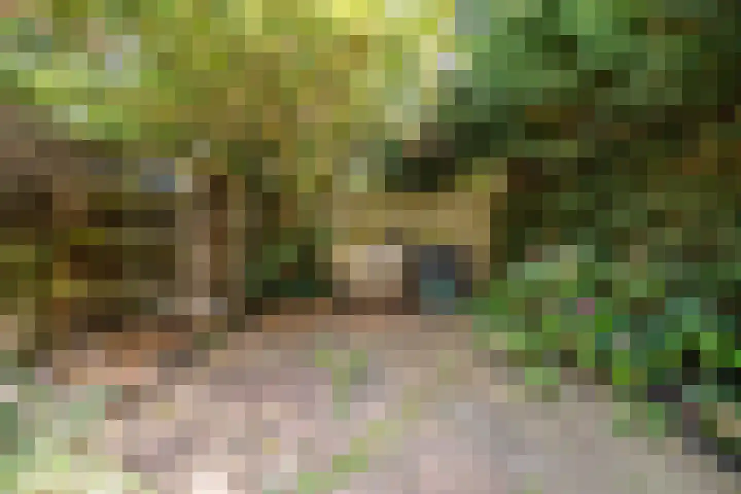 Boogschutter 121 Hoorn thumbnail 28