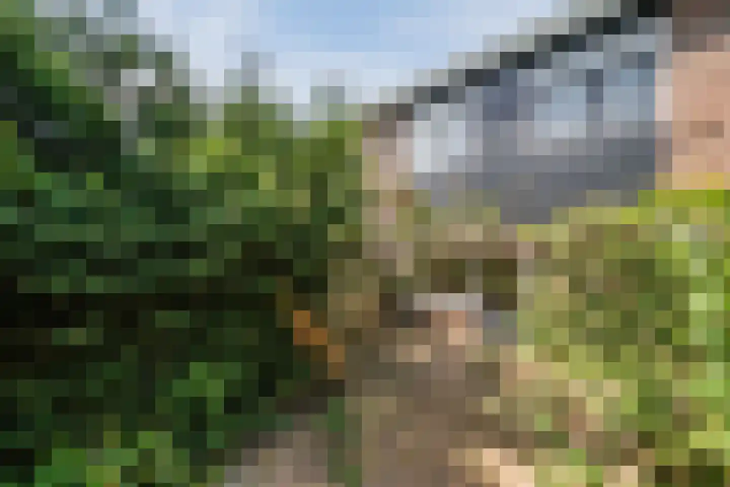 Boogschutter 121 Hoorn thumbnail 29