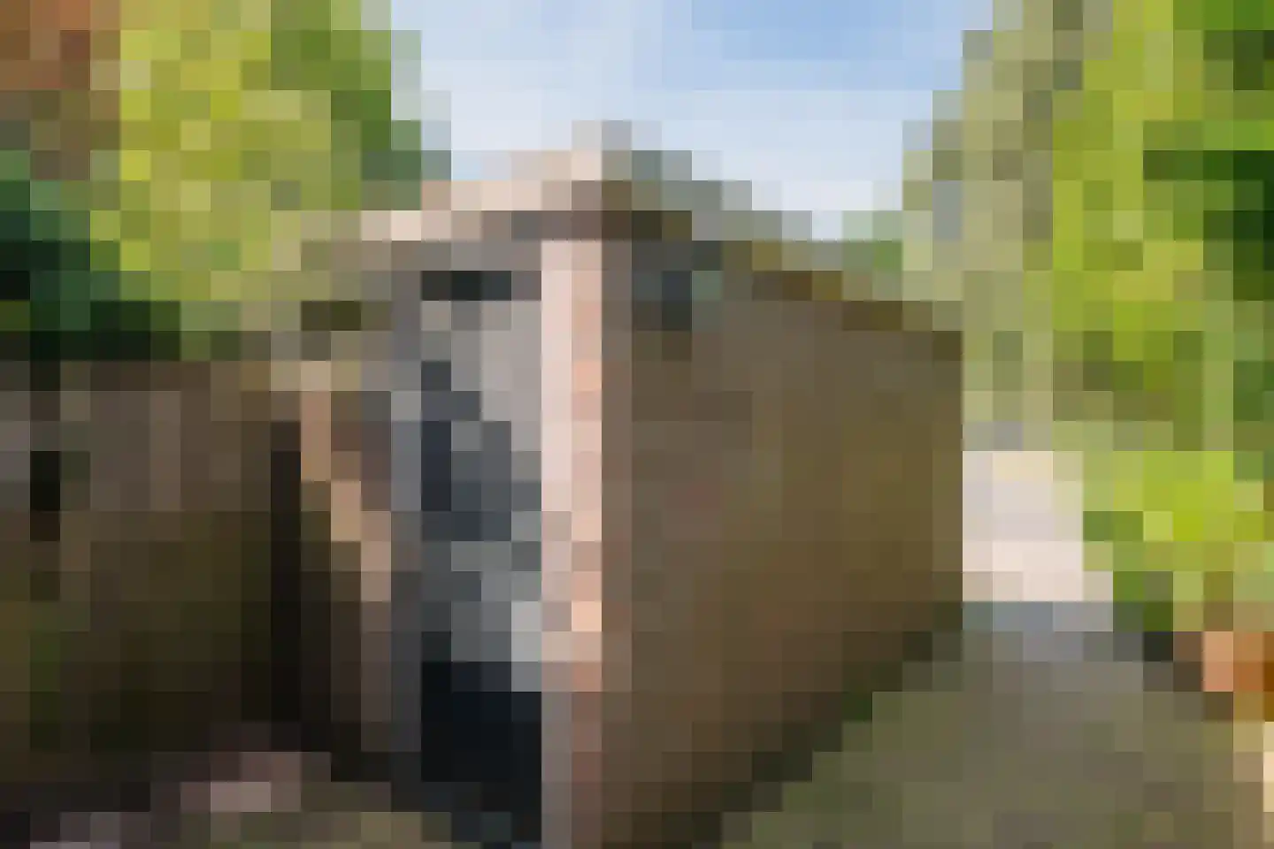 Boogschutter 121 Hoorn thumbnail 31