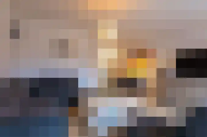 Boogschutter 129 Hoorn thumbnail 13