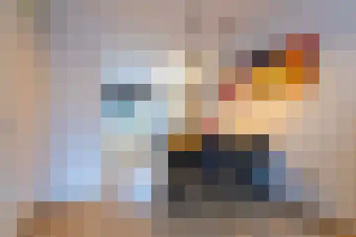 Boogschutter 129 Hoorn thumbnail 15