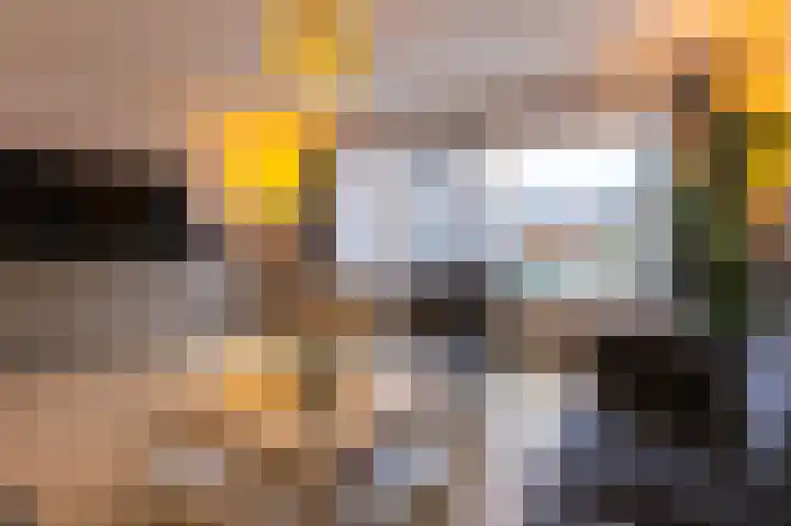Boogschutter 129 Hoorn thumbnail 16