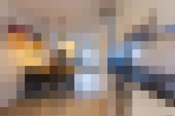 Boogschutter 129 Hoorn thumbnail 18