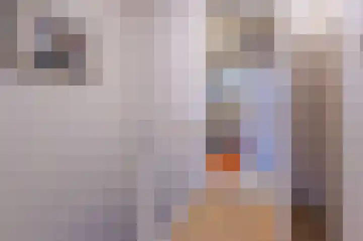 Boogschutter 129 Hoorn thumbnail 25