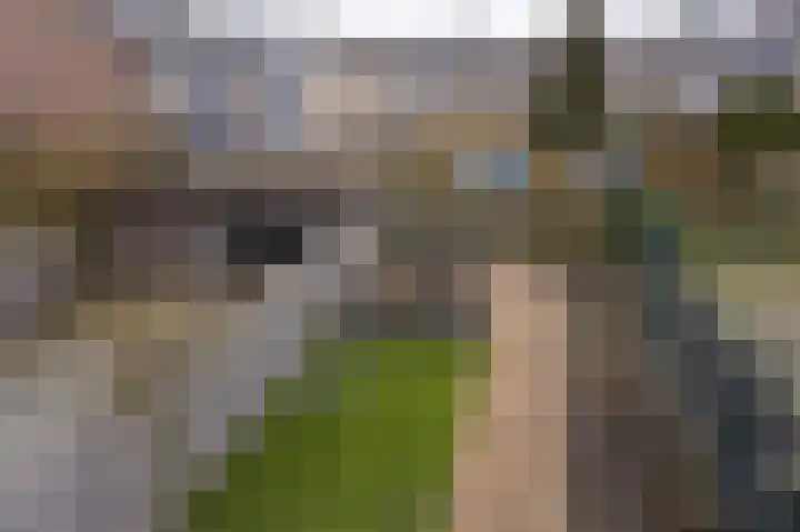 Boogschutter 129 Hoorn thumbnail 28