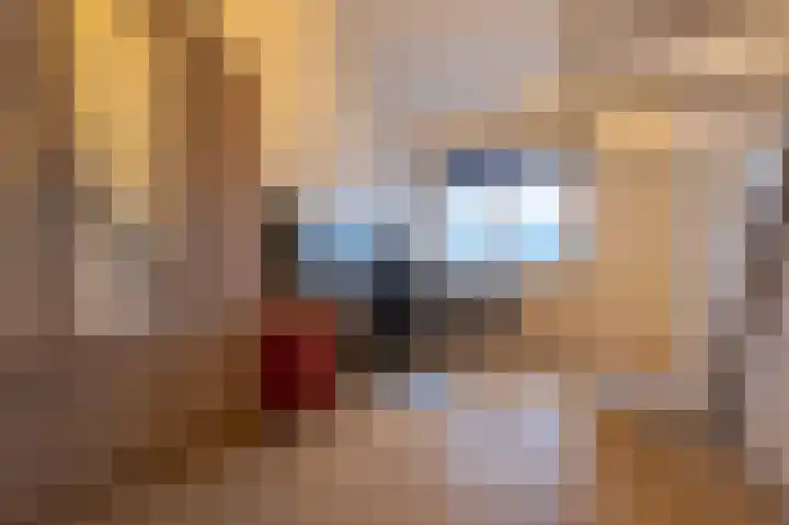 Boogschutter 129 Hoorn thumbnail 35