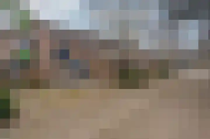 Boogschutter 129 Hoorn thumbnail 8
