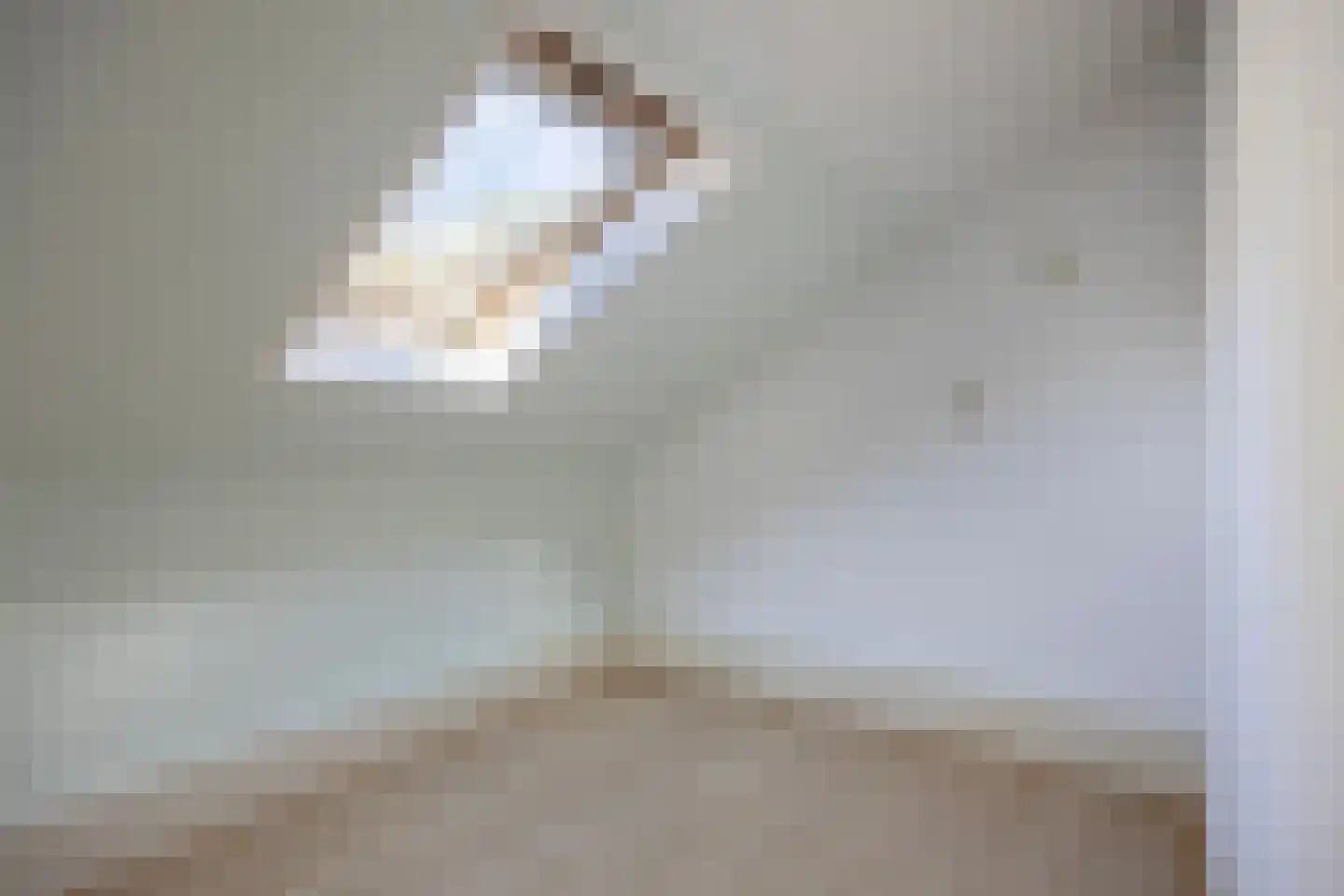 Boogschutter 14 Hoorn thumbnail 13