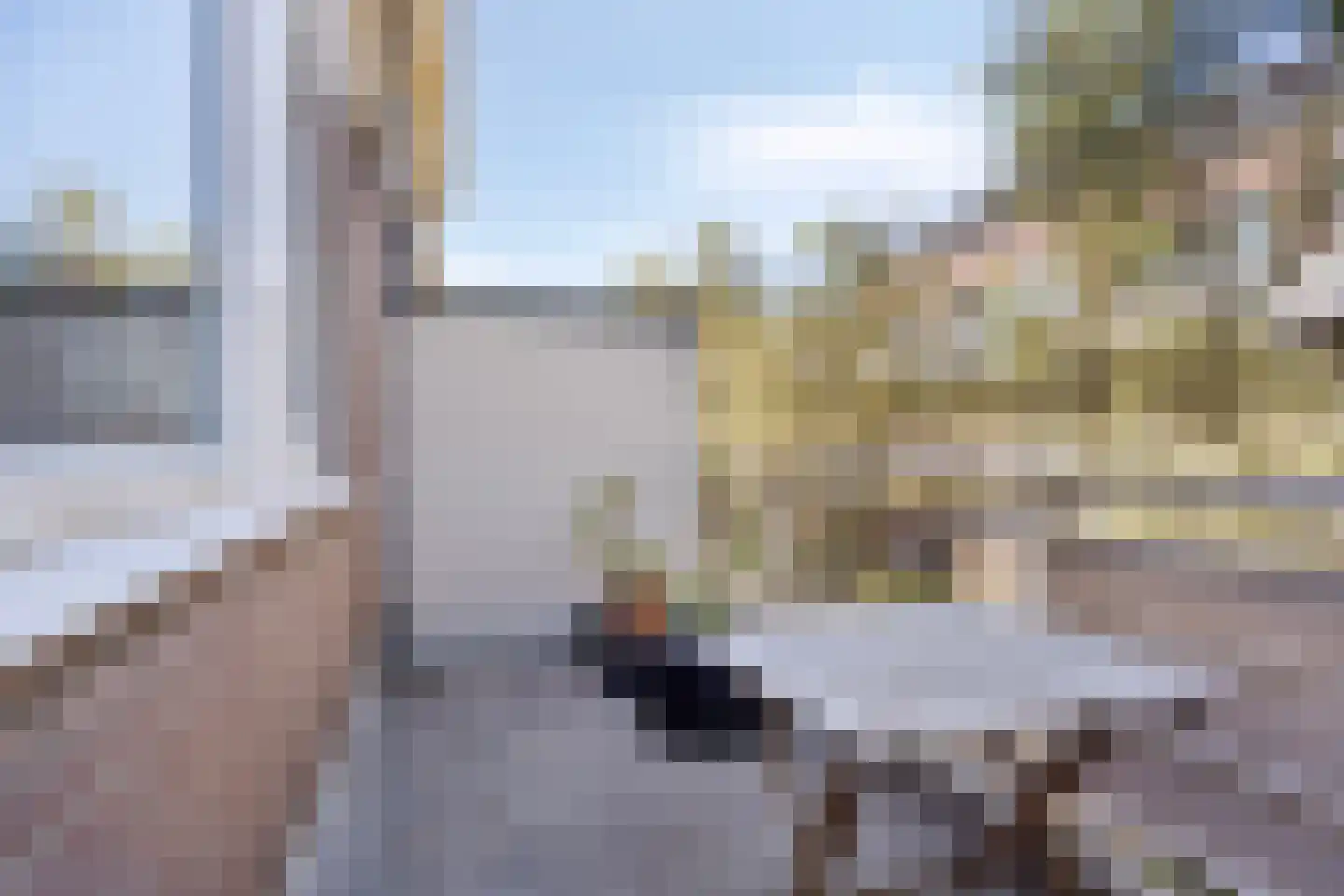 Boogschutter 14 Hoorn thumbnail 18
