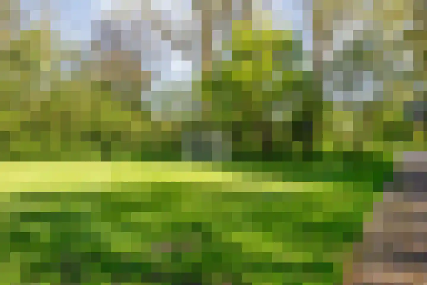 Boogschutter 14 Hoorn thumbnail 24