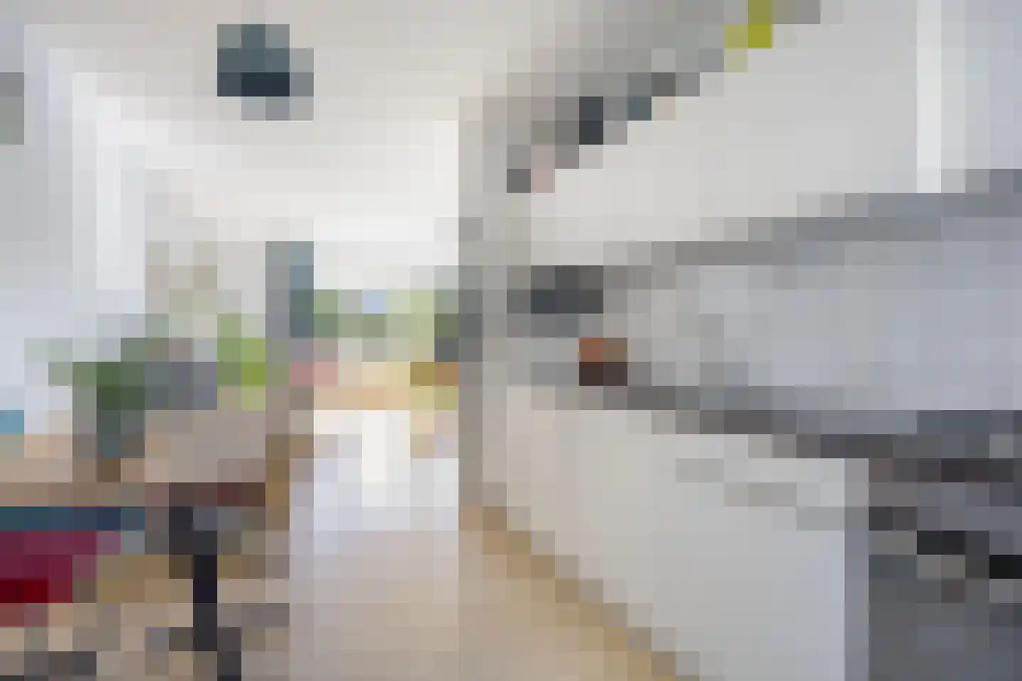 Boogschutter 14 Hoorn thumbnail 7