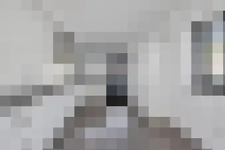 Boogschutter 143 Hoorn thumbnail 15