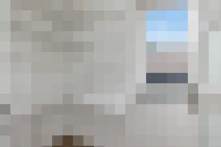 Boogschutter 143 Hoorn thumbnail 18