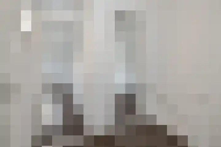 Boogschutter 143 Hoorn thumbnail 19