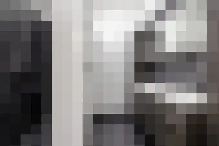 Boogschutter 143 Hoorn thumbnail 21