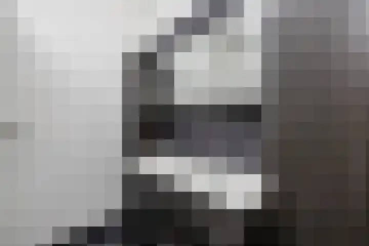 Boogschutter 143 Hoorn thumbnail 22