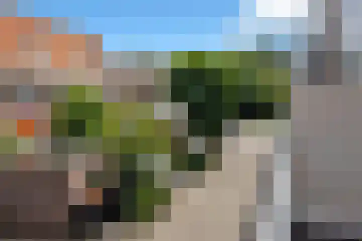 Boogschutter 143 Hoorn thumbnail 34