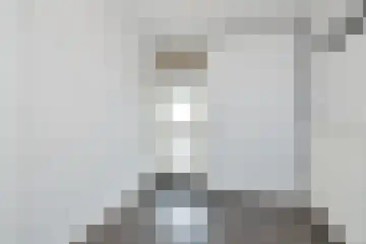 Boogschutter 143 Hoorn thumbnail 6