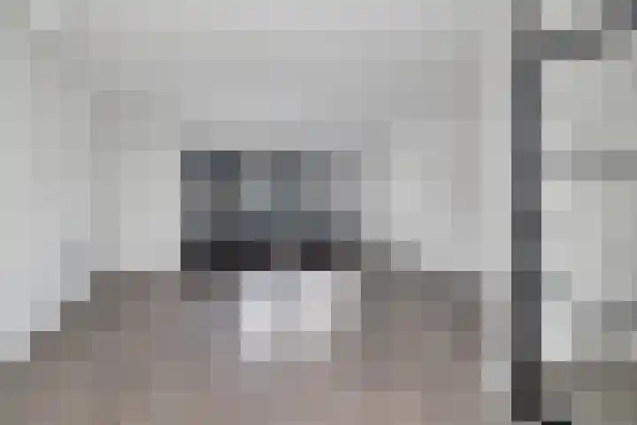 Boogschutter 143 Hoorn thumbnail 8