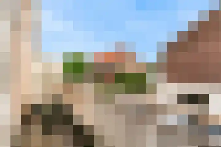 Boogschutter 151 Hoorn thumbnail 11