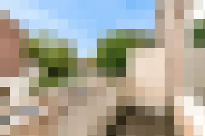 Boogschutter 151 Hoorn thumbnail 12