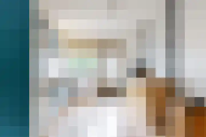 Boogschutter 151 Hoorn thumbnail 13