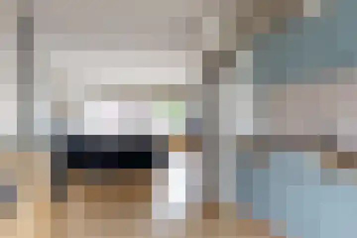 Boogschutter 151 Hoorn thumbnail 15