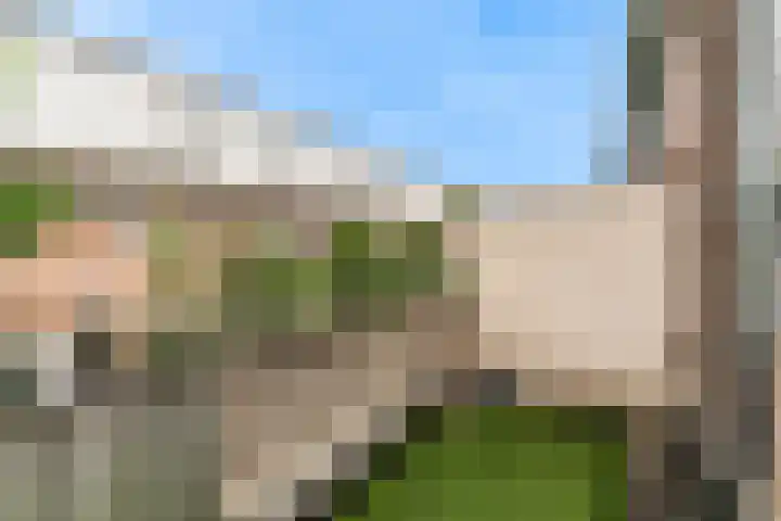 Boogschutter 151 Hoorn thumbnail 17