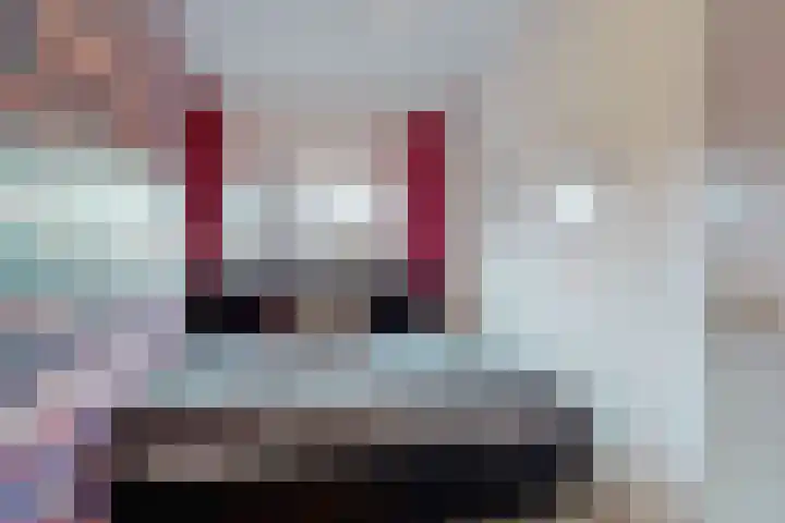 Boogschutter 151 Hoorn thumbnail 20