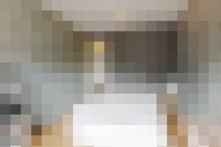 Boogschutter 151 Hoorn thumbnail 22