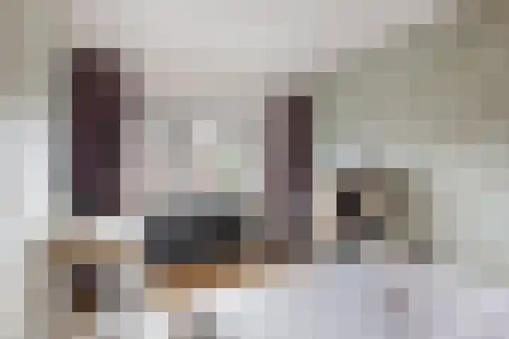 Boogschutter 151 Hoorn thumbnail 23