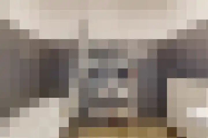 Boogschutter 151 Hoorn thumbnail 24