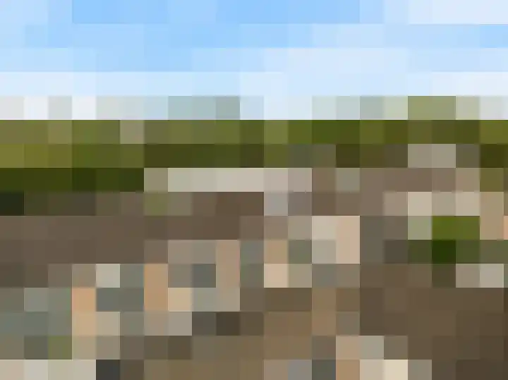 Boogschutter 151 Hoorn thumbnail 27