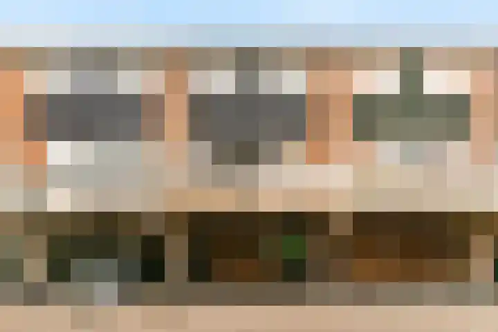 Boogschutter 151 Hoorn thumbnail 29