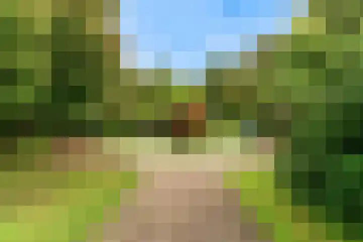 Boogschutter 151 Hoorn thumbnail 31