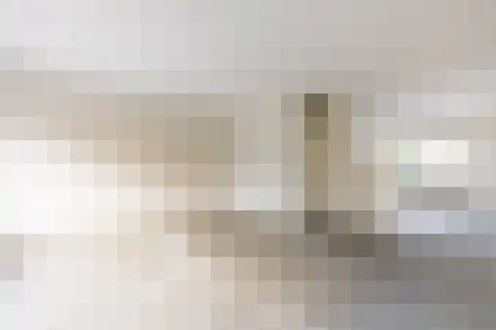 Boogschutter 155 Hoorn thumbnail 10