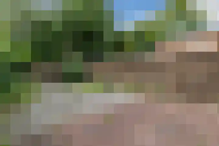Boogschutter 155 Hoorn thumbnail 27