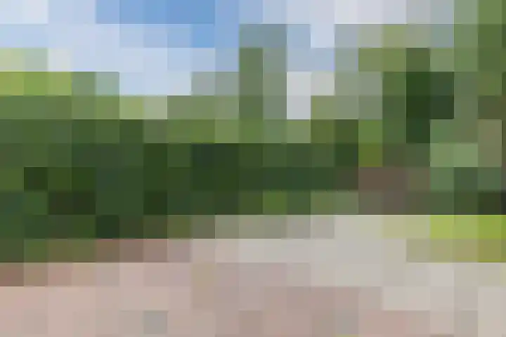 Boogschutter 155 Hoorn thumbnail 28