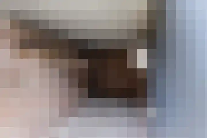 Boogschutter 155 Hoorn thumbnail 30