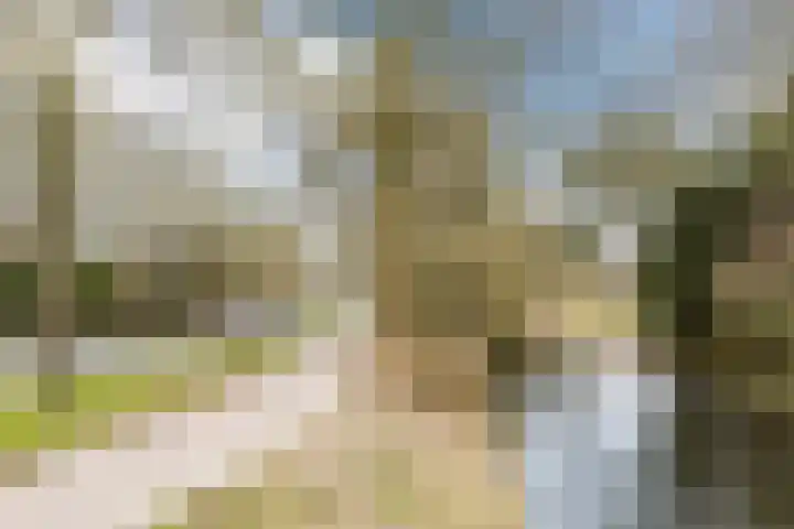 Boogschutter 155 Hoorn thumbnail 32
