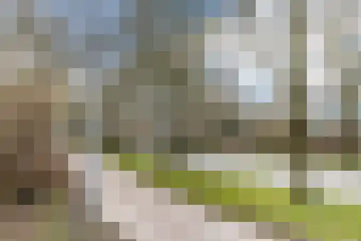 Boogschutter 155 Hoorn thumbnail 33