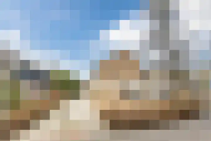 Boogschutter 155 Hoorn thumbnail 34