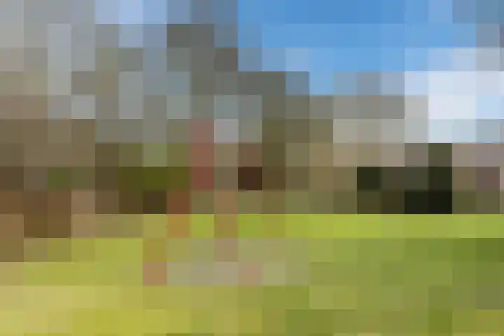Boogschutter 155 Hoorn thumbnail 35