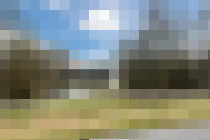 Boogschutter 155 Hoorn thumbnail 36