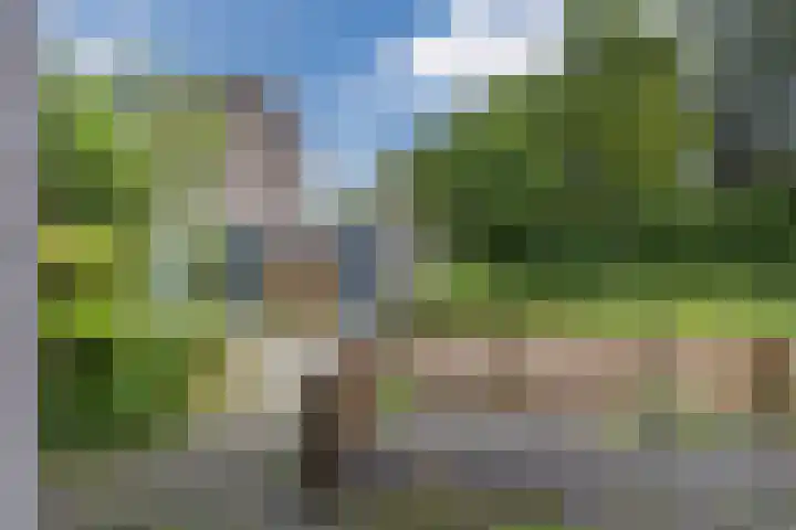 Boogschutter 155 Hoorn thumbnail 4