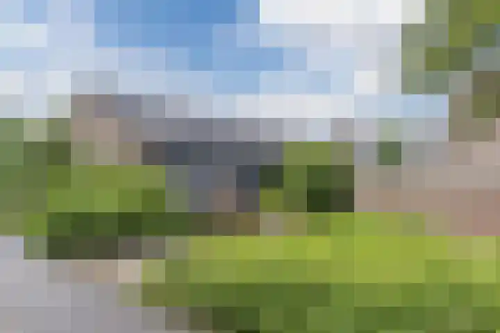 Boogschutter 155 Hoorn thumbnail 5