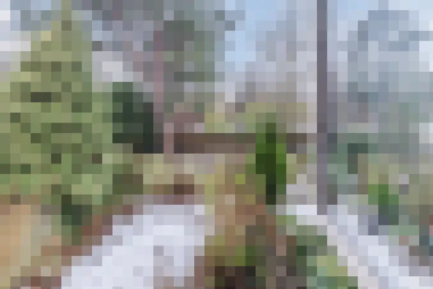 Boogschutter 164 Hoorn thumbnail 23
